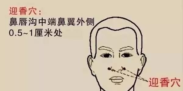 灸好“四根”,百病不入! - 第3张 灸好“四根”,百病不入! - 第3张