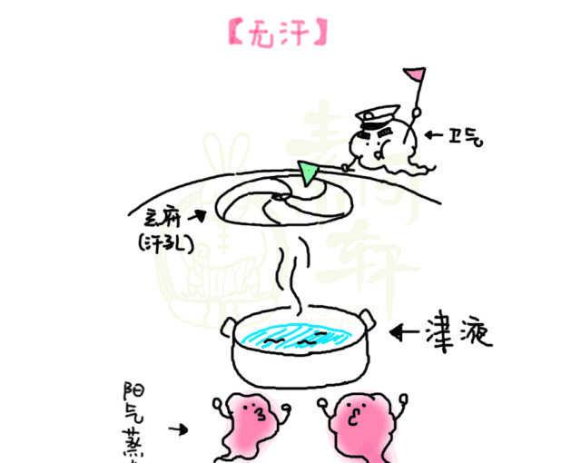 汗血同源——出什么汗,得什么病:臭汗源于肝,虚汗源于肺,冷汗源于肾…… - 第3张 汗血同源——出什么汗,得什么病:臭汗源于肝,虚汗源于肺,冷汗源于肾…… - 第3张