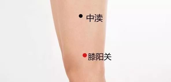 经常艾灸膝盖,引血下行,盘活全身! - 第4张 经常艾灸膝盖,引血下行,盘活全身! - 第4张