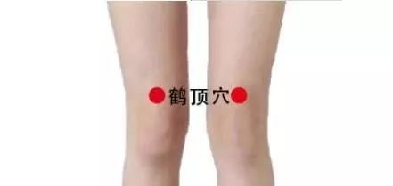 经常艾灸膝盖,引血下行,盘活全身! - 第6张 经常艾灸膝盖,引血下行,盘活全身! - 第6张