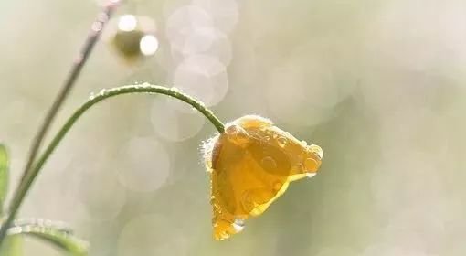 腰痛不一定是腰椎出了问题。辨证艾灸,才能标本兼治 - 第3张 腰痛不一定是腰椎出了问题。辨证艾灸,才能标本兼治 - 第3张