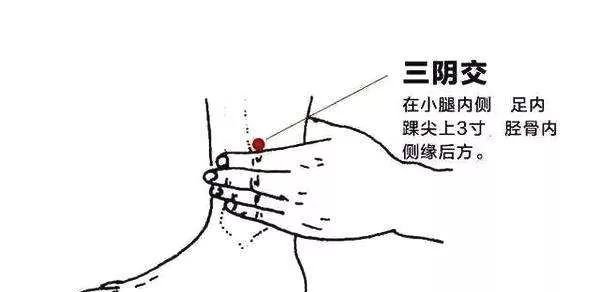 腰痛不一定是腰椎出了问题。辨证艾灸,才能标本兼治 - 第5张 腰痛不一定是腰椎出了问题。辨证艾灸,才能标本兼治 - 第5张