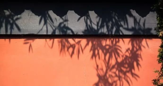 艾灸一穴,治疗贫血,所有跟血有关的疾病都可以找它! - 第4张 艾灸一穴,治疗贫血,所有跟血有关的疾病都可以找它! - 第4张