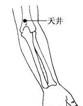 调节三焦经，可以调节人的一身之气 - 第13张
