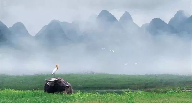 有个好胃,先从疏肝开始 - 第2张 有个好胃,先从疏肝开始 - 第2张