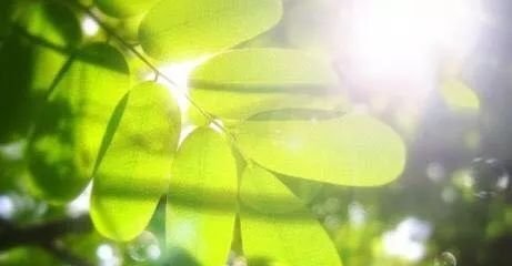 今天毒五月第一天,做好三件事,一年不生病 - 第2张 今天毒五月第一天,做好三件事,一年不生病 - 第2张