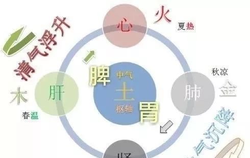 疑难杂症治不好,艾灸这里补根本! - 第3张 疑难杂症治不好,艾灸这里补根本! - 第3张