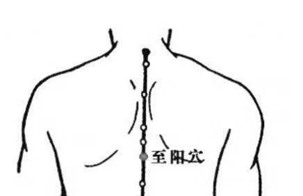 艾灸里的养生经——把艾灸做到极致,就不用担心没效果! - 第4张 艾灸里的养生经——把艾灸做到极致,就不用担心没效果! - 第4张