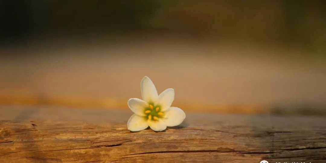 艾灸里的养生经——把艾灸做到极致,就不用担心没效果! - 第7张 艾灸里的养生经——把艾灸做到极致,就不用担心没效果! - 第7张