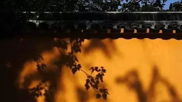 不懂艾灸?就从灸背开始吧!它有一通百通的功效! - 第2张 不懂艾灸?就从灸背开始吧!它有一通百通的功效! - 第2张