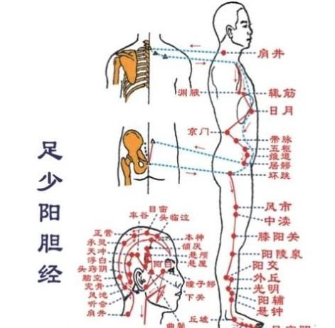 解肝脏郁结,听听中医说! - 第2张 解肝脏郁结,听听中医说! - 第2张