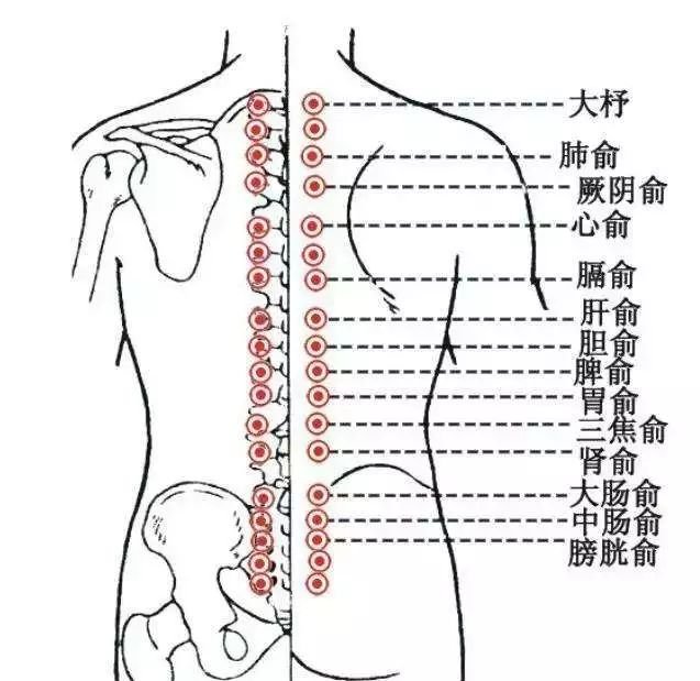 夏季艾灸,根治慢性病的黄金时机!抓住这个机会 - 第4张 夏季艾灸,根治慢性病的黄金时机!抓住这个机会 - 第4张