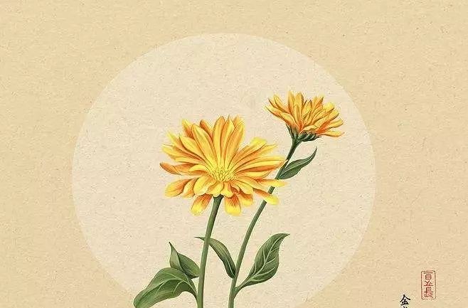 这两样通了,女人的妇科、面子问题就能迎刃而解 - 第2张 这两样通了,女人的妇科、面子问题就能迎刃而解 - 第2张