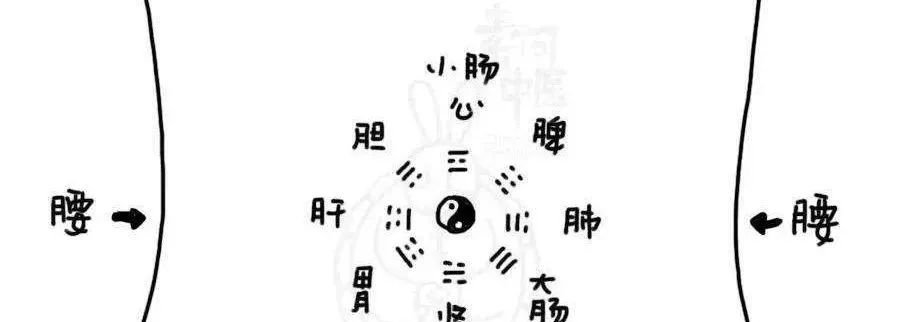 脐灸:平阴阳、通气血、调五脏、生元气,不可不灸! - 第3张 脐灸:平阴阳、通气血、调五脏、生元气,不可不灸! - 第3张