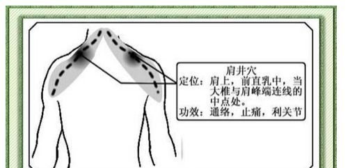 陈日新:热敏灸比普通悬灸更有效 - 第5张 陈日新:热敏灸比普通悬灸更有效 - 第5张