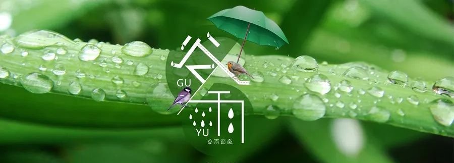 今日谷雨,养肝祛湿的最后机会,牢牢抓住它! - 第2张 今日谷雨,养肝祛湿的最后机会,牢牢抓住它! - 第2张