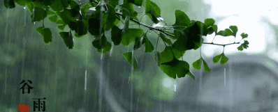 今日谷雨,养肝祛湿的最后机会,牢牢抓住它! - 第3张 今日谷雨,养肝祛湿的最后机会,牢牢抓住它! - 第3张
