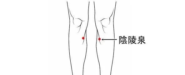 今日谷雨,养肝祛湿的最后机会,牢牢抓住它! - 第10张 今日谷雨,养肝祛湿的最后机会,牢牢抓住它! - 第10张