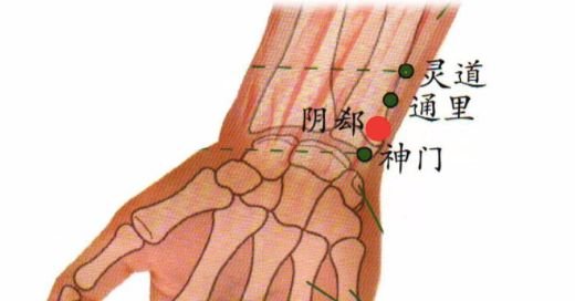 多汗补气,无汗补血 , 艾灸调汗病,从此不为汗所恼 - 第4张 多汗补气,无汗补血 , 艾灸调汗病,从此不为汗所恼 - 第4张