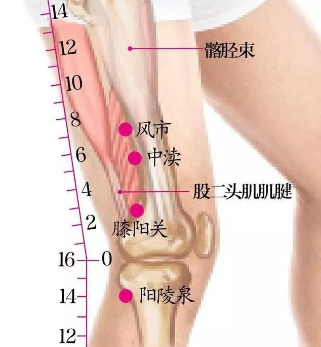 疑难杂症，久灸不愈，谨记这条经络上的“五朵金花”！ - 第6张