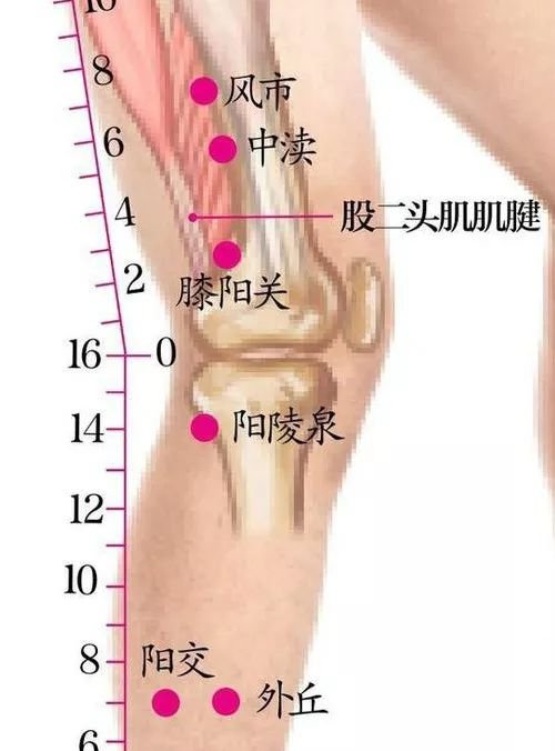 疑难杂症，久灸不愈，谨记这条经络上的“五朵金花”！ - 第7张