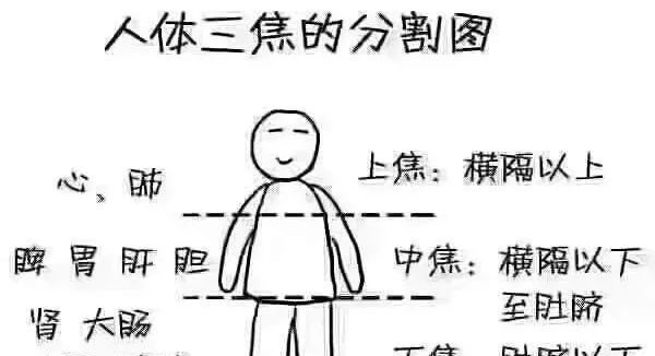 疑难杂症,久灸不愈,谨记这条经络上的“五朵金花”! - 第8张 疑难杂症,久灸不愈,谨记这条经络上的“五朵金花”! - 第8张