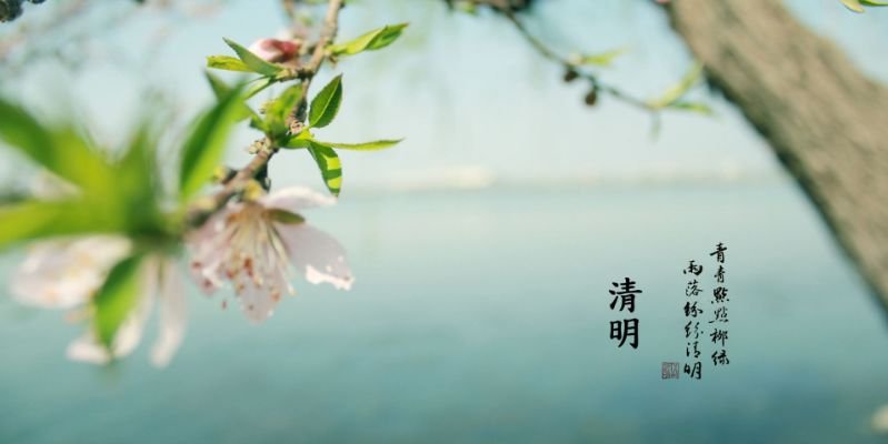 今日清明,阳气极盛,全家这样灸除污秽!为家人收藏... - 第2张 今日清明,阳气极盛,全家这样灸除污秽!为家人收藏... - 第2张