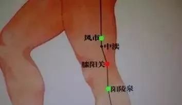 灸膝一月，爽气一年！引血下行，盘活全身，好处多得不得了！ - 第4张
