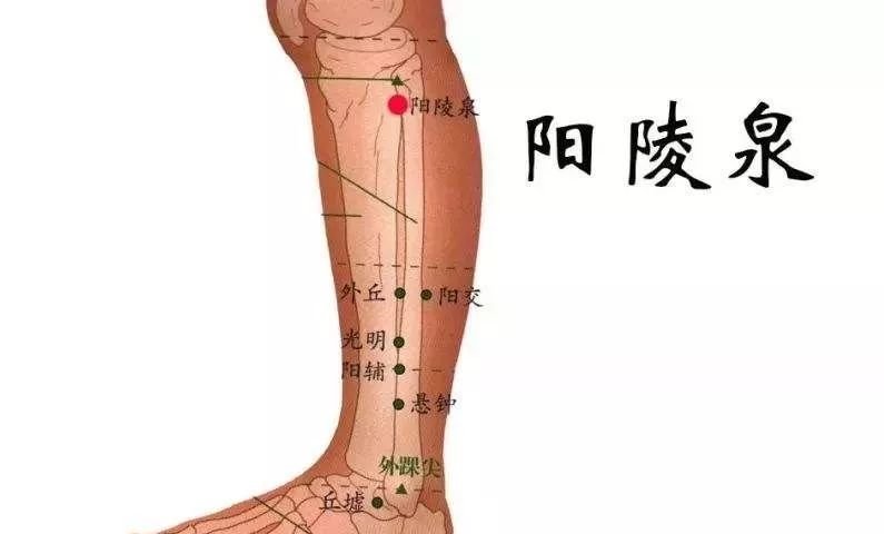灸膝一月，爽气一年！引血下行，盘活全身，好处多得不得了！ - 第7张
