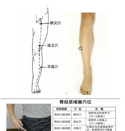 经络处方大公开,各类疾病自我搞定 - 第16张 经络处方大公开,各类疾病自我搞定 - 第16张