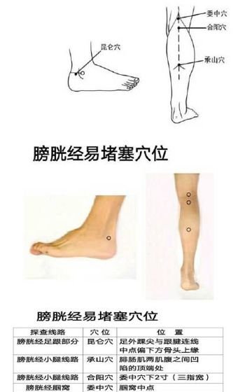 经络处方大公开,各类疾病自我搞定 - 第17张 经络处方大公开,各类疾病自我搞定 - 第17张