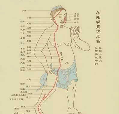 路新宇:胃经常见堵塞点为什么不是“足三里” - 第3张 路新宇:胃经常见堵塞点为什么不是“足三里” - 第3张