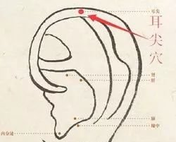 此穴全身百病可却,但你还真没用过! - 第2张 此穴全身百病可却,但你还真没用过! - 第2张