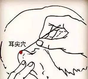 此穴全身百病可却,但你还真没用过! - 第3张 此穴全身百病可却,但你还真没用过! - 第3张