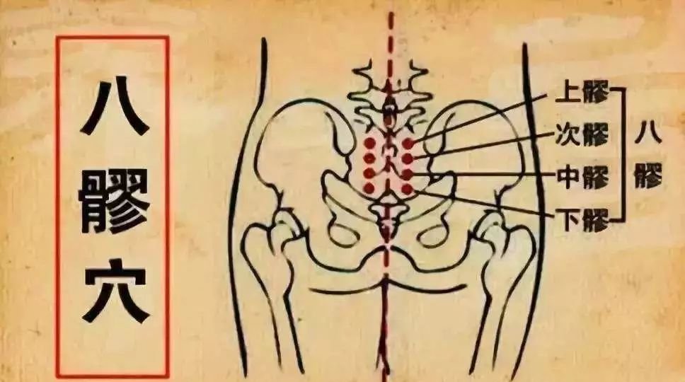 冬天艾灸这八个“孔”,直接给盆腔注入阳气,通治一切妇科病! - 第3张 冬天艾灸这八个“孔”,直接给盆腔注入阳气,通治一切妇科病! - 第3张
