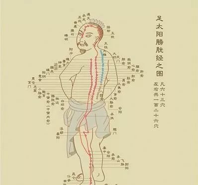 大寒后,疏通这条经络,受益一整年! - 第2张 大寒后,疏通这条经络,受益一整年! - 第2张