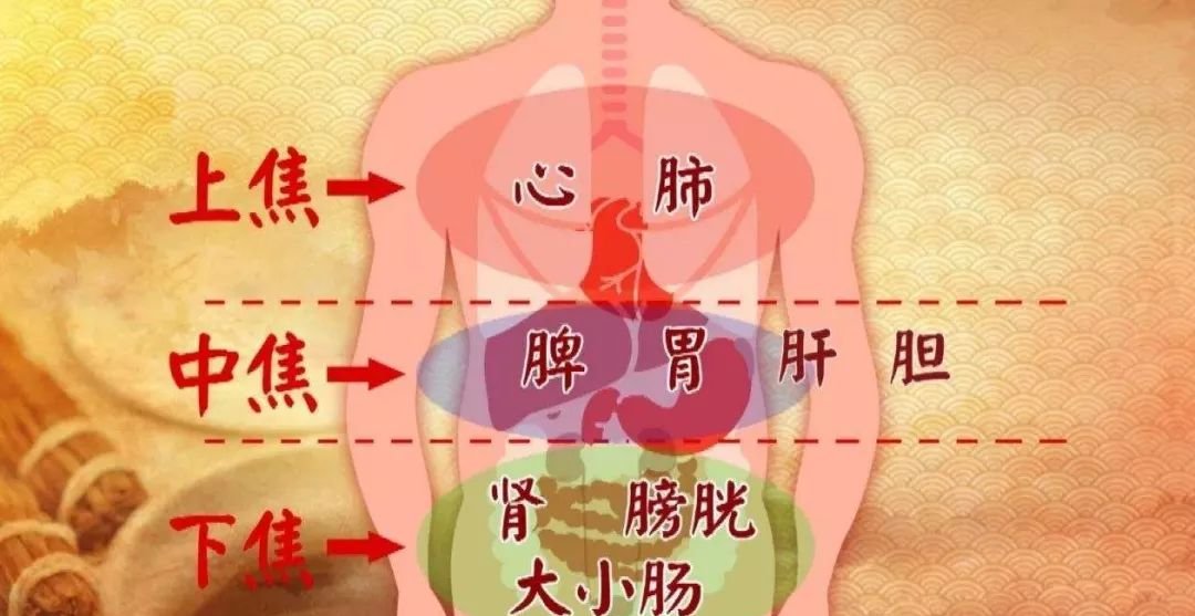 “三焦”不通，老病缠身！ 两个方法，打通三焦！ - 第2张