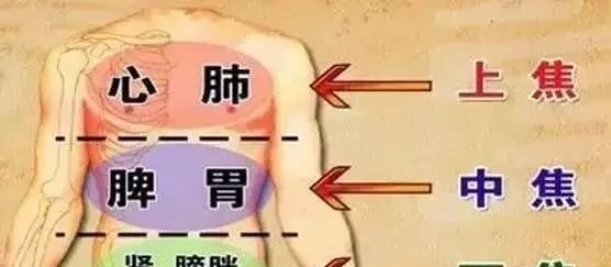 “三焦”不通，老病缠身！ 两个方法，打通三焦！ - 第3张