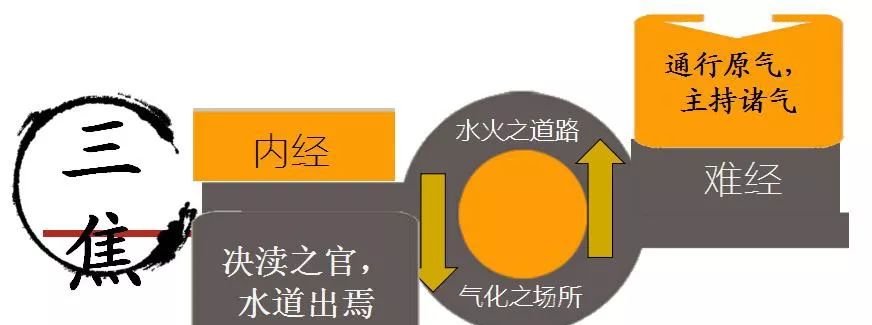 “三焦”不通，老病缠身！ 两个方法，打通三焦！ - 第4张