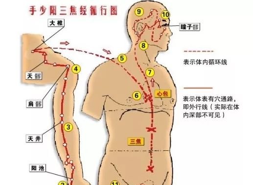 “三焦”不通，老病缠身！ 两个方法，打通三焦！ - 第7张