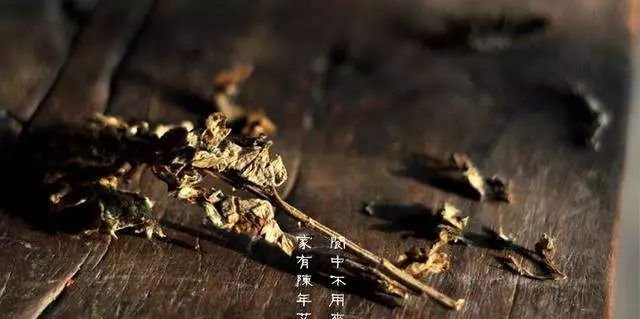你可能还不知道,小小艾叶,既是去痒高手,还是皮肤病克星! - 第2张 你可能还不知道,小小艾叶,既是去痒高手,还是皮肤病克星! - 第2张