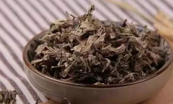 你可能还不知道,小小艾叶,既是去痒高手,还是皮肤病克星! - 第3张 你可能还不知道,小小艾叶,既是去痒高手,还是皮肤病克星! - 第3张