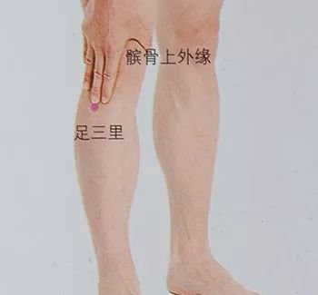 原来如此:气不足就胖,血不足就瘦! - 第8张 原来如此:气不足就胖,血不足就瘦! - 第8张