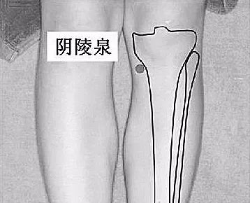 原来如此:气不足就胖,血不足就瘦! - 第9张 原来如此:气不足就胖,血不足就瘦! - 第9张