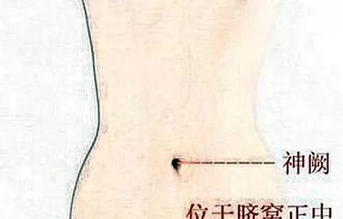 原来如此:气不足就胖,血不足就瘦! - 第13张 原来如此:气不足就胖,血不足就瘦! - 第13张