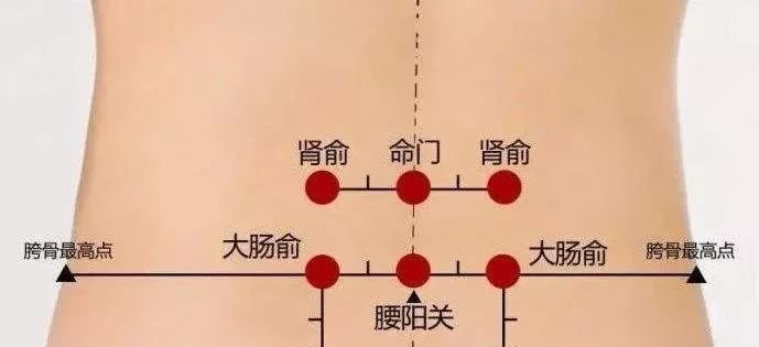 内分泌失调——女人的病根!不懂艾灸,可能是女人内分泌失调最大的损失 - 第5张 内分泌失调——女人的病根!不懂艾灸,可能是女人内分泌失调最大的损失 - 第5张