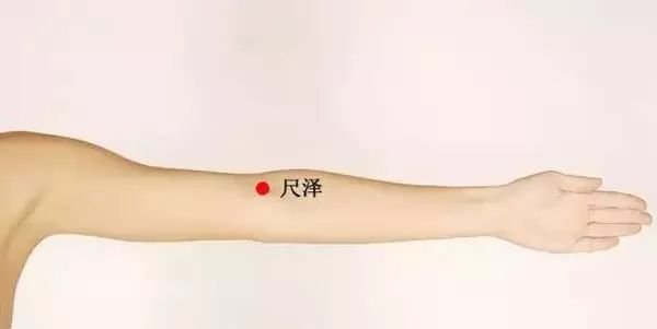感冒必灸的四大穴位,你知道哪几个? - 第6张 感冒必灸的四大穴位,你知道哪几个? - 第6张