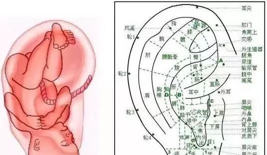 9个“养生窝”,每天灸一灸,少往医院跑,能增十年寿! - 第3张 9个“养生窝”,每天灸一灸,少往医院跑,能增十年寿! - 第3张