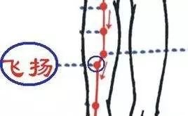 腿寒甚至比宫寒还可怕,会诱发各种疾病。认真看看吧! - 第6张 腿寒甚至比宫寒还可怕,会诱发各种疾病。认真看看吧! - 第6张