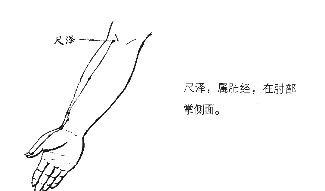 肺热上火,咽喉肿痛,六招就可解决! - 第9张 肺热上火,咽喉肿痛,六招就可解决! - 第9张